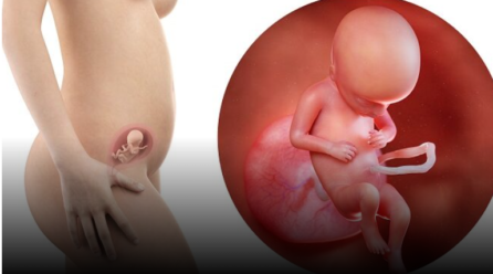 Herpesi në shtatzëni, problem që duhet trajtuar