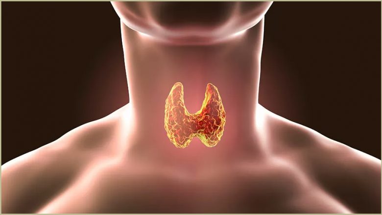 Ushqimet që duhen shmangur sepse përkeqësojnë tiroiden