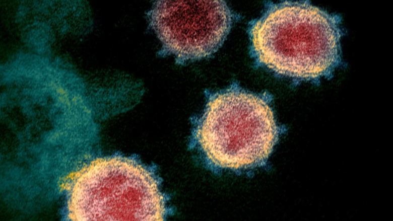OBSH: Varianti “Delta plus” i koronavirusit, rrezik i ri