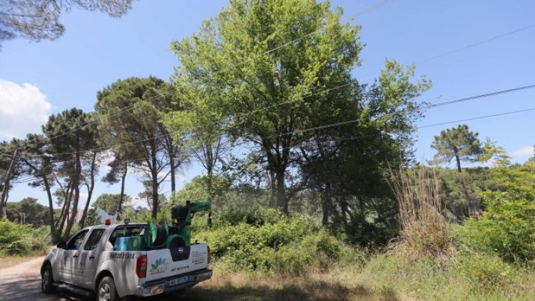 Vijon dezinsektimi në zonat bregdetare të Shqipërisë