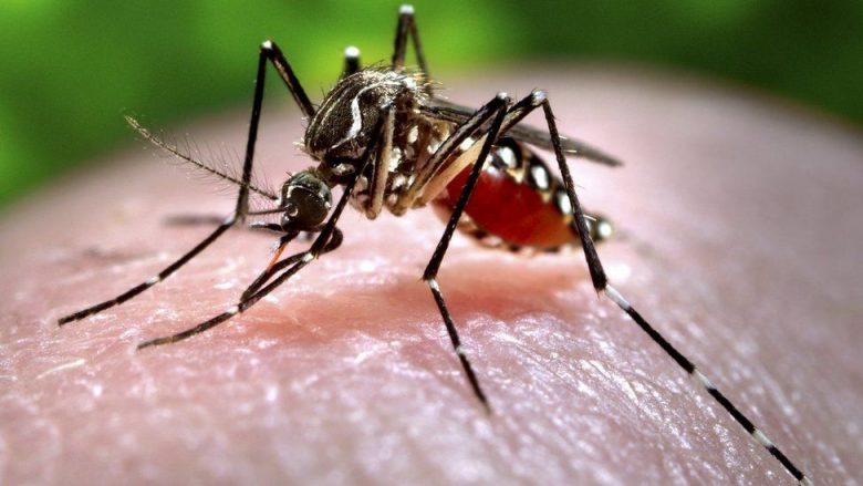 Qyteti indian raporton afër 100 raste me virusin Zika