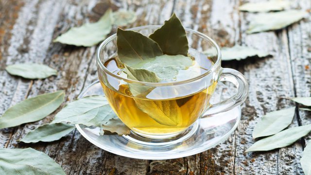 Çaji i kësaj bime është më i miri për reumatizmin, artritin dhe osteoporozën