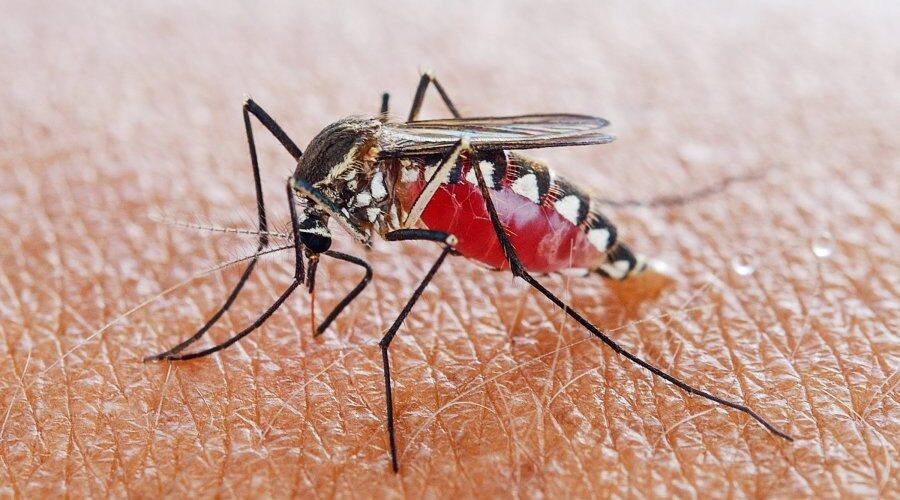 25 prilli, Dita Botërore e Malaries