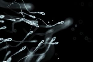 Infertiliteti i meshkujve dhe metodat e trajtimit