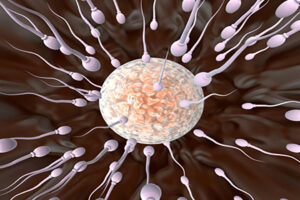 Arsyjet më të shpeshta të paraqitjes së infertilitetit tek meshkujt