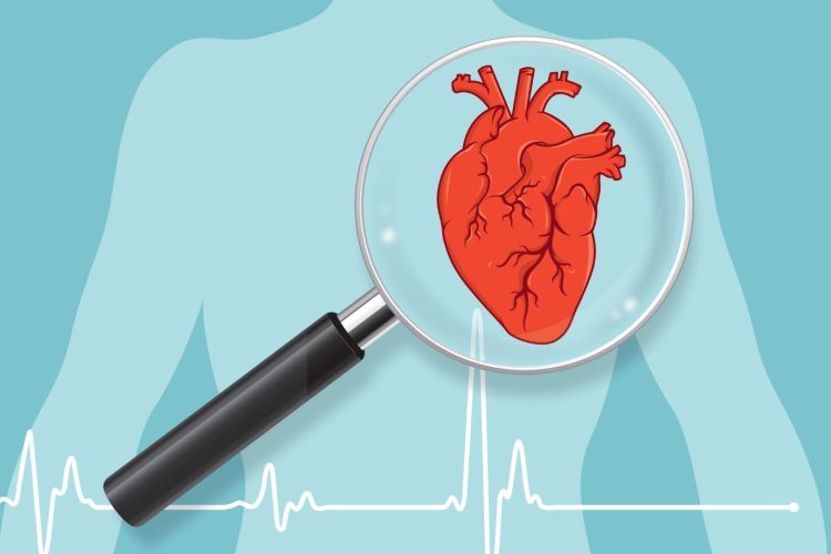 5 Ushtrimet Më Të Mira Për Shëndetin E Zemrës