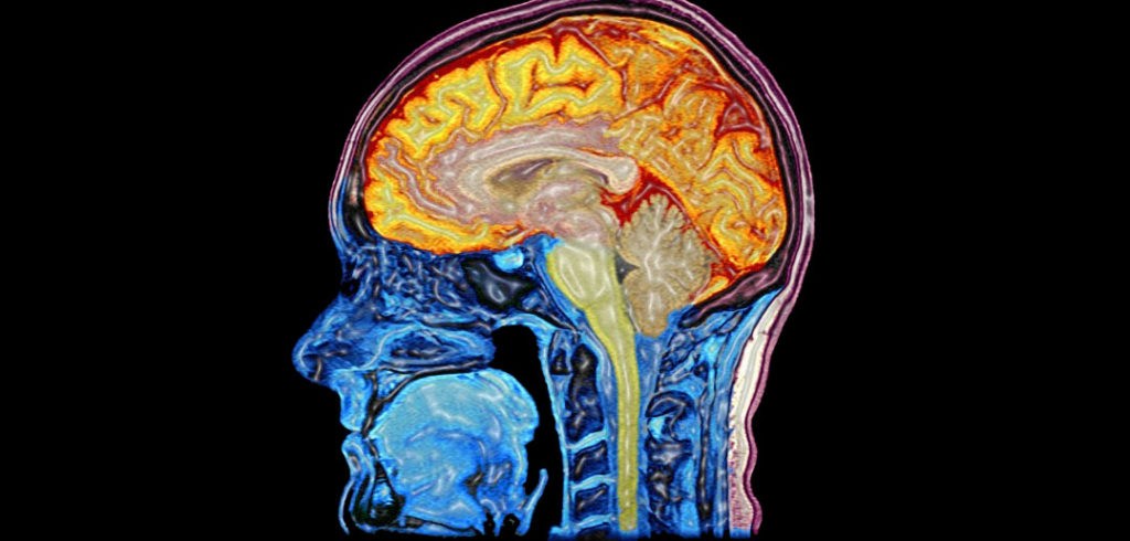 Deficiti i Vëmendjes dhe Çrregullimi Hiperaktiv tek të Rriturit (ADHD)￼