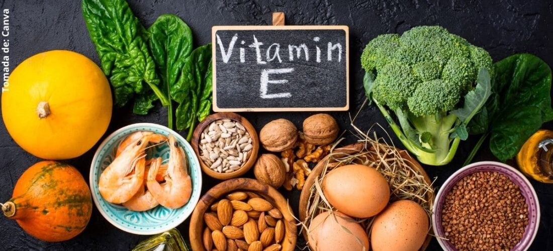 Rëndësia e vitaminës E për oragnizëm