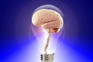 Tre faktorë që kontribuojnë në shëndetin e mirë të trurit