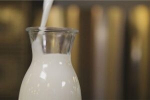 Australia shpik teknologjinë që e mban qumështin të freskët për 60 ditë￼