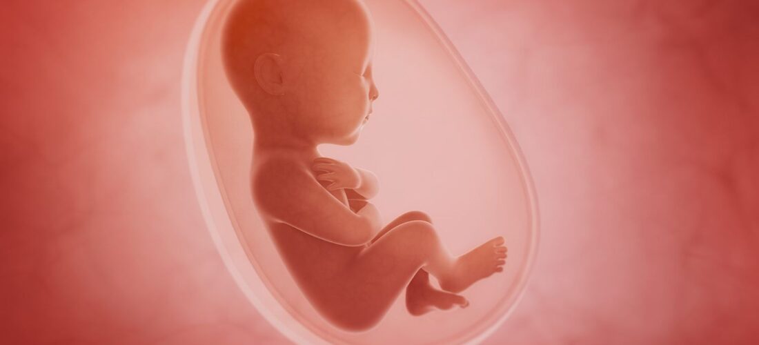 5 fakte rreth zhvillimit të fetusit që si keni ditur më parë
