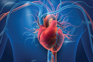 Kolesteroli dhe ndikimi i tij në sëmundjet kardiovaskulare