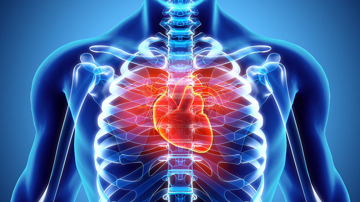 Kardiologët i praktikojnë këto zakone për të mbajtur zemrën të shëndetshme