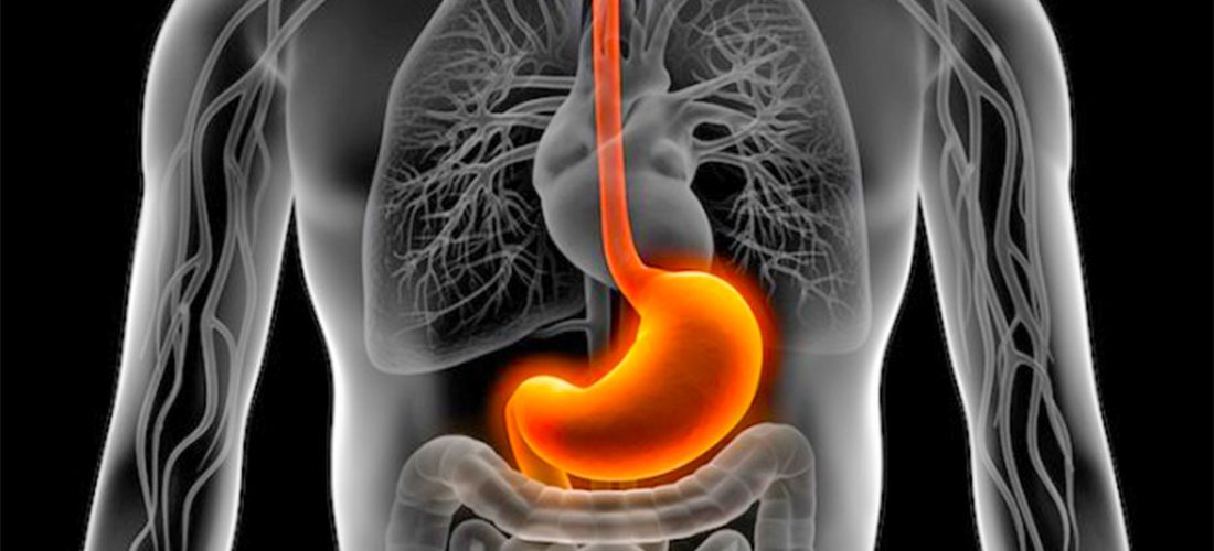 Cilat janë ushqimet më të mira dhe më të këqija për urthin?