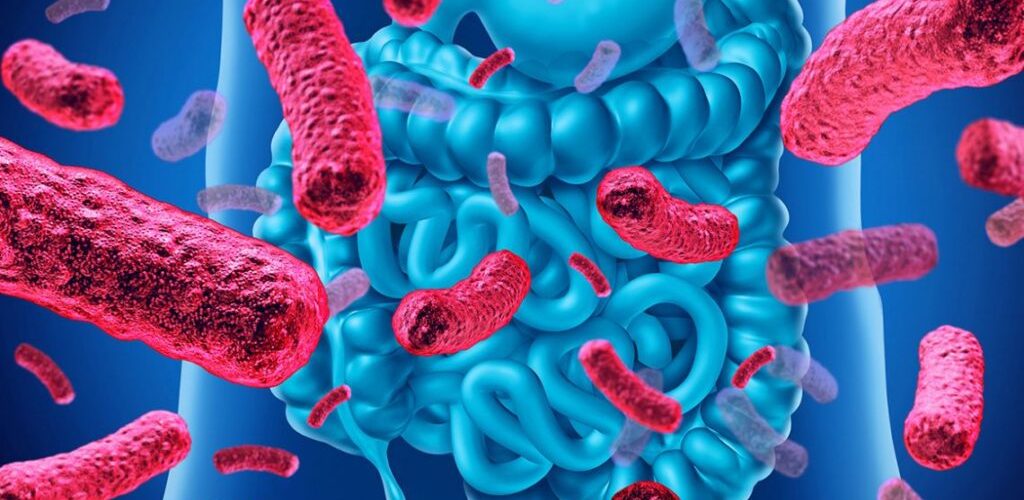 Antibiotikët mund të rrisin rrezikun e sëmundjes inflamatore të zorrëve