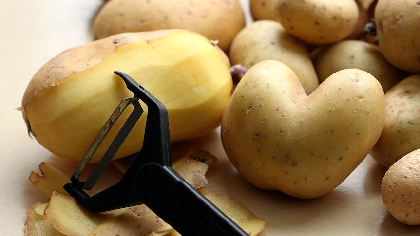 Mos i hudhni lëvoren e patates, ka shumë efekte pozitive