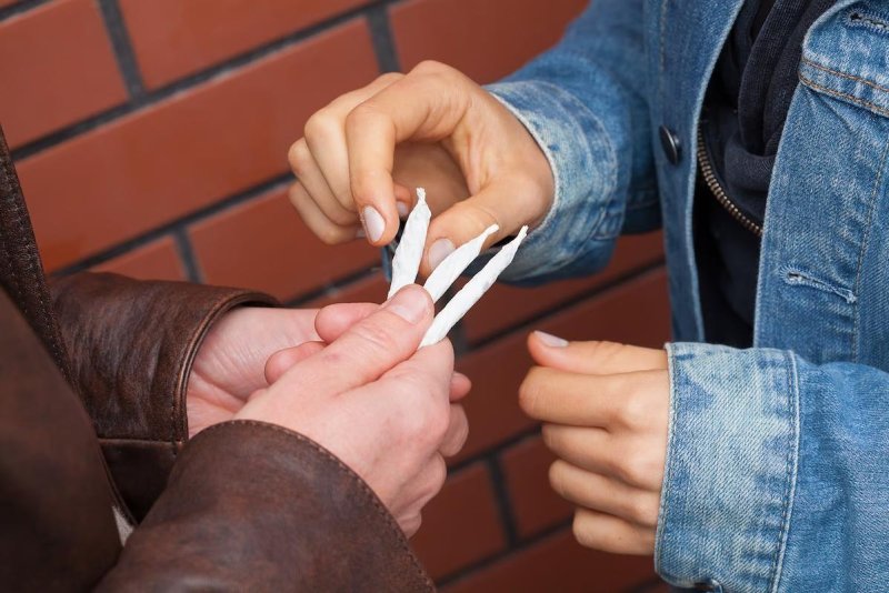 Studim: Adoleshentët që përdorin kanabis kanë rezultate më të ulëta në shkollë