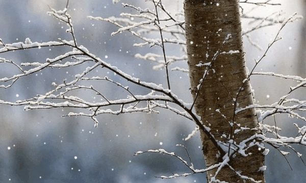 Temperaturat minimale sot deri në – 4 gradë Celsius, ka edhe intervale me diell