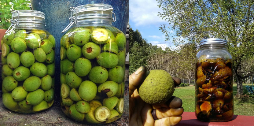 Receta çudibërëse! Arrat e pabëra dhe mjalti kurojnë çdo sëmundje që keni