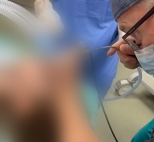 Fëmija 5-vjeçar në QKUK i shpëton rrezikut nga një farë luledielli