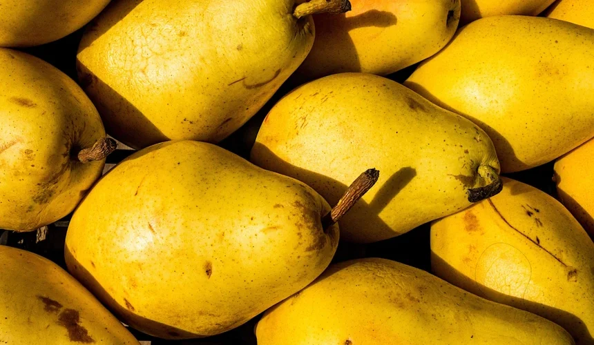 Çfarë i ndodh organizmit nëse hani një dardhë në ditë