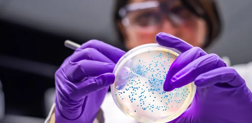 Bakteri që kthen plastikën e përdorur në ilaçe kundër dhimbjes