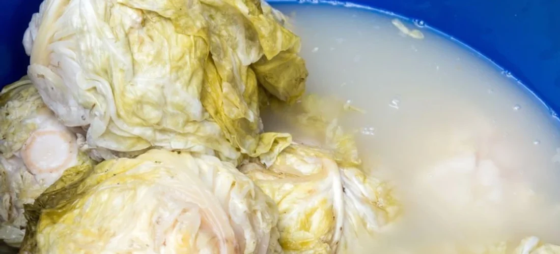 Shtoni këtë përbërës në lakrat turshi: thartohen më shpejt dhe zgjasin deri në verë