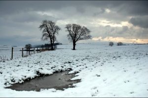 Parashikimi i motit për sot