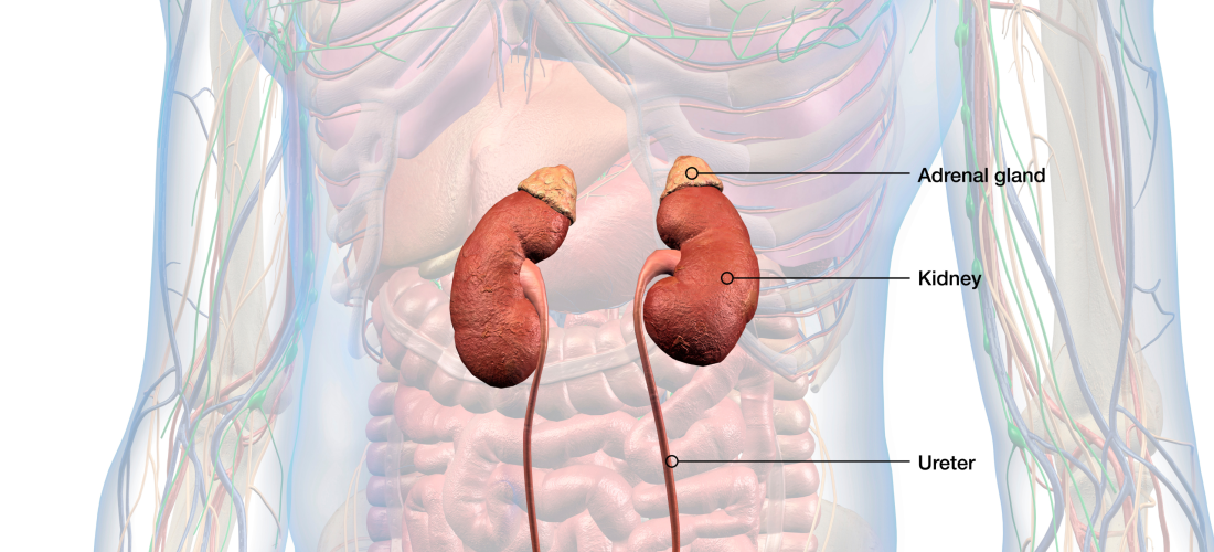 Terapia e re për kancerin e prostatës ul ndjeshëm rrezikun e efekteve anësore