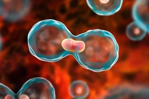 Ekspertët paralajmërojnë rritje shqetësuese të tre llojeve të kancereve