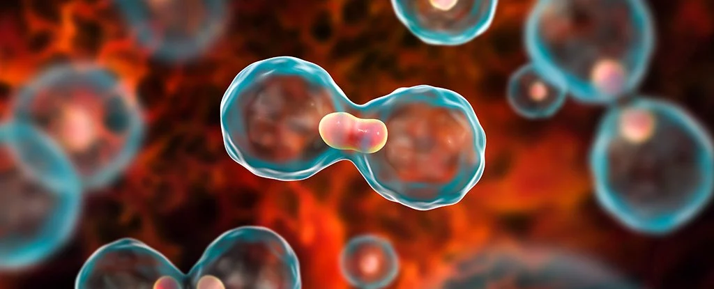 Ekspertët paralajmërojnë rritje shqetësuese të tre llojeve të kancereve