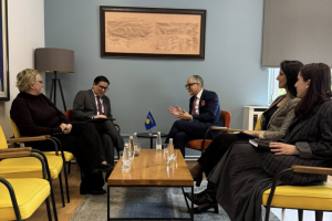 Ministri i Shëndetësisë, Arben Vitia, priti në takim shefin e zyrës së UNDP-së në Kosovë