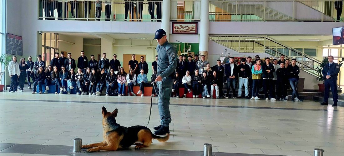Policia në Gjakovë realizon projektin “Errësirë–Dritë” në kuadër të luftës kundër drogës