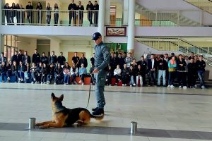 Policia në Gjakovë realizon projektin “Errësirë–Dritë” në kuadër të luftës kundër drogës