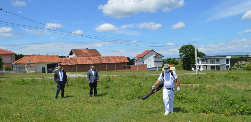 Malisheva dezinsekton zonat ku mund të ketë parazitë