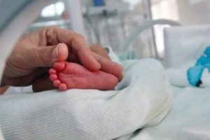 Rritet numri i lindjeve në Kosovë gjatë muajit mars