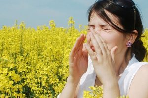 Shtim i alergjive dhe problemeve respiratore në pranverë