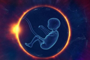 Si ndikojnë fibromat e mitrës në fertilitet?