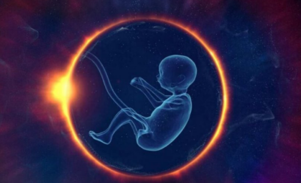 Si ndikojnë fibromat e mitrës në fertilitet?