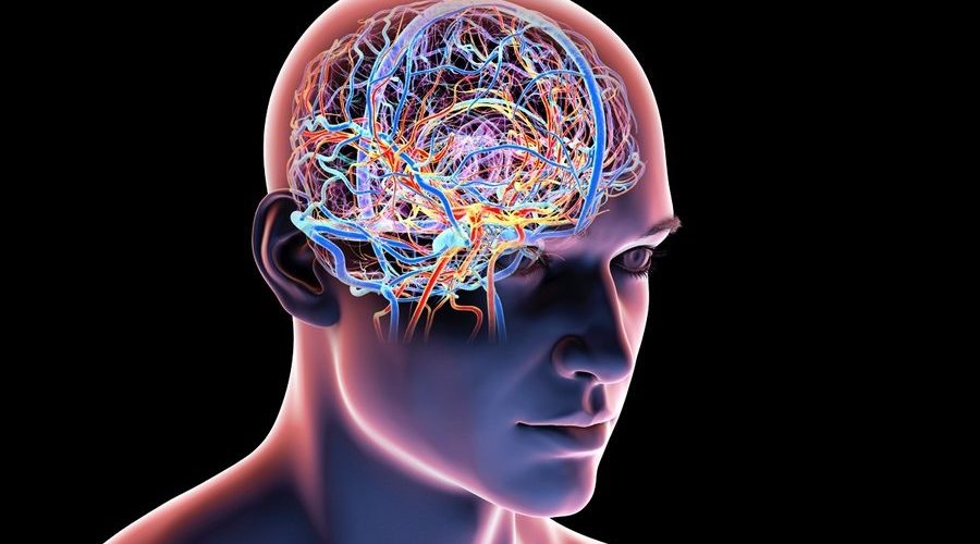 Shkencëtarët kombinojnë dy vitamina, krijohet një përbërje që mund të ndihmojë rigjenerimin e trurit
