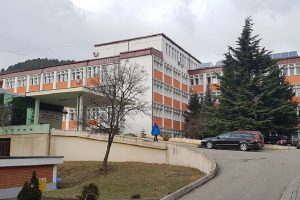 31 foshnje lindën brenda një jave në Spitalin e Pejës, mbi 2800 vizita specialistike