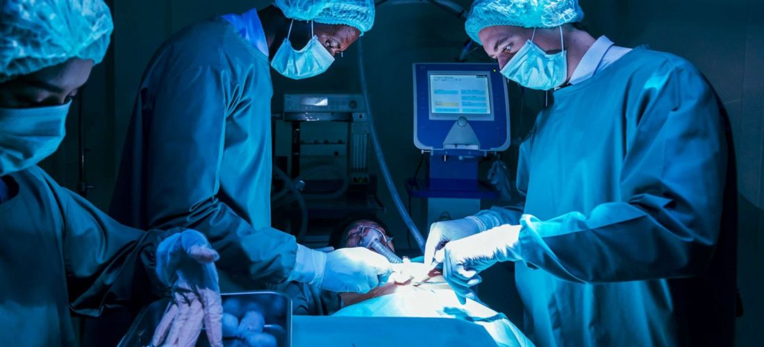 Kina kryen transplantin e parë në botë të mëlçisë dhe veshkave të derrit te një pacient