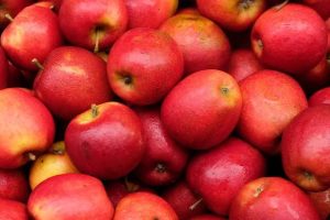 Mollët – fruti i thjeshtë që sjell shumë përfitime për shëndetin