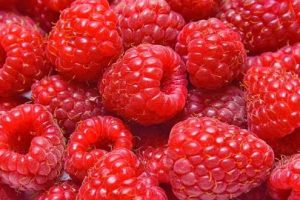 Mjedrat: Fruti i vogël me përfitime të mëdha për shëndetin