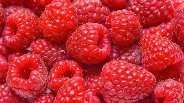 Mjedrat: Fruti i vogël me përfitime të mëdha për shëndetin
