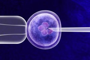 Dy shtatzëni të reja konfirmohen pas procedurave IVF në QKUK