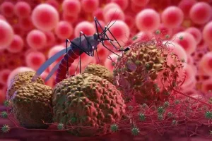 Malaria konfirmohet te një shtetase e huaj në Kosovë, pacientja po trajtohet në QKUK