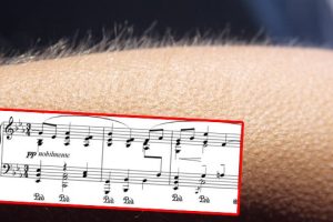 Pse na rrëqethet lëkura kur dëgjojmë muzikë?